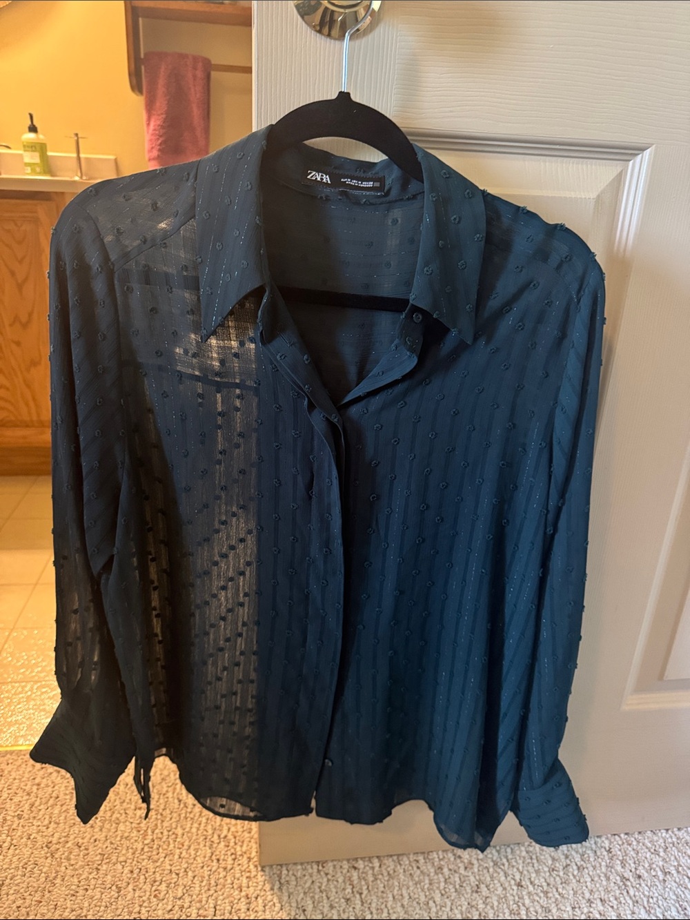 Zara Sheer Textured Button-Up Blouse in Deep Teal